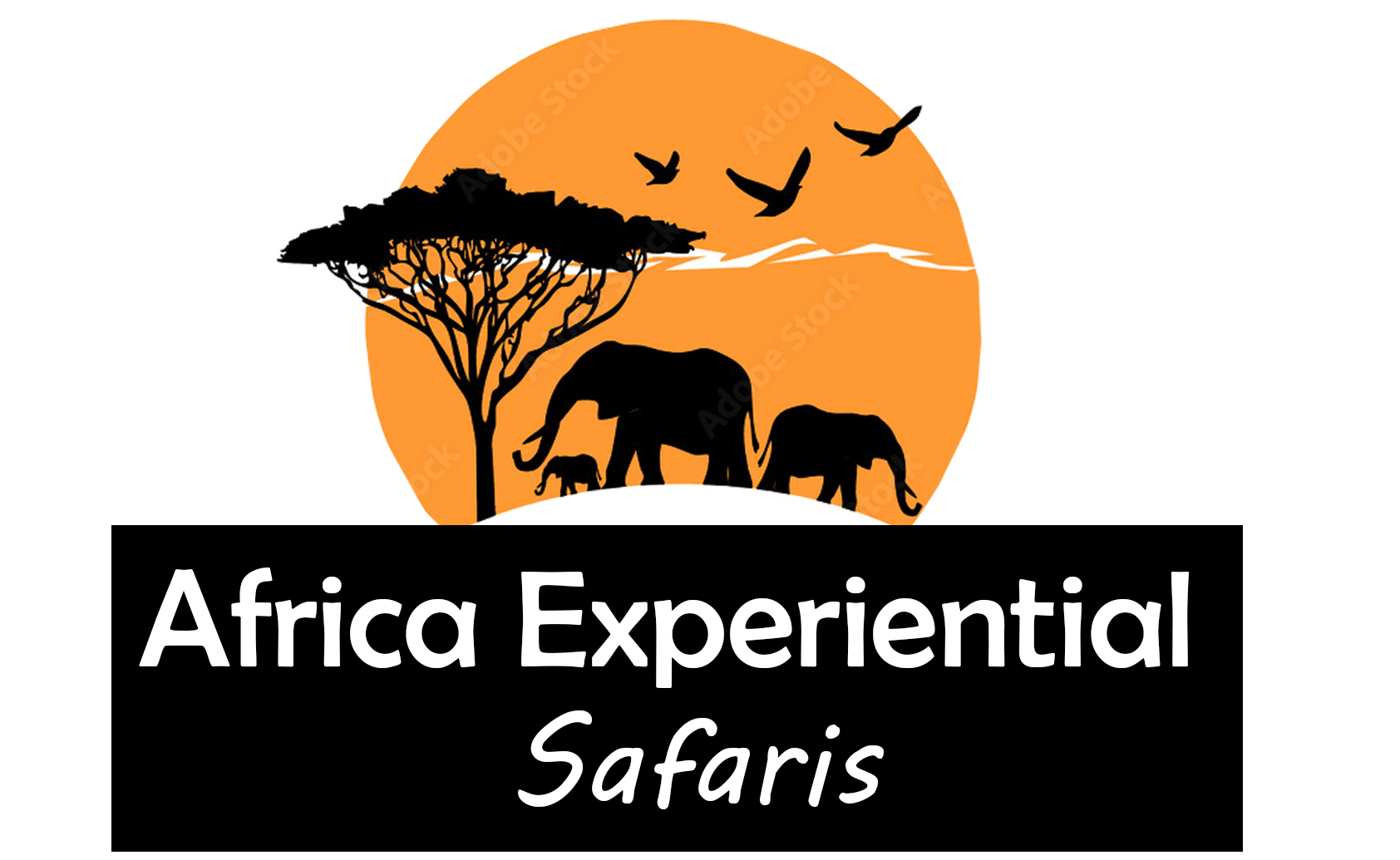 Africa Experiential Safaris