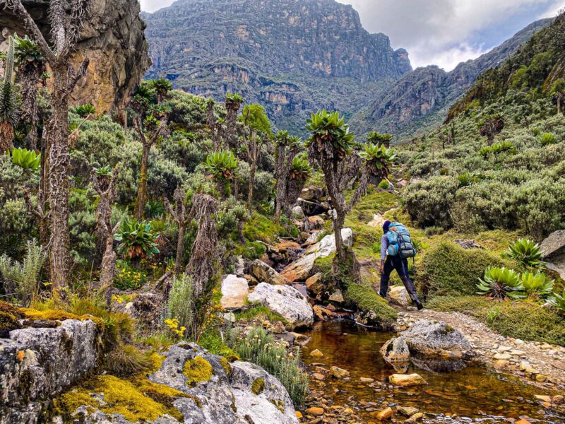 Rwenzori-Mountains